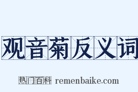 观音菊反义词是什么意思的图片